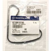 проладка теплообменника 6719970745 actyon 10- дизель D20