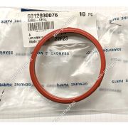 прокладка термостата 6012030076