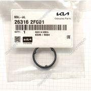кольцо уплотнительное 26316-2F001 корпус маслянного фильтра; D4HB