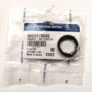 прокладка теплообменника 6659970545